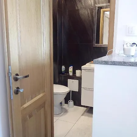 Vasile Lascar Dynamo Penthouse 1 Apartament Bukareszt