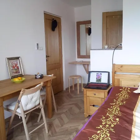 Vasile Lascar Dynamo Penthouse 1 * Bukareszt