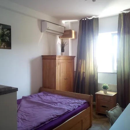 Vasile Lascar Dynamo Penthouse 1 Apartament Bukareszt
