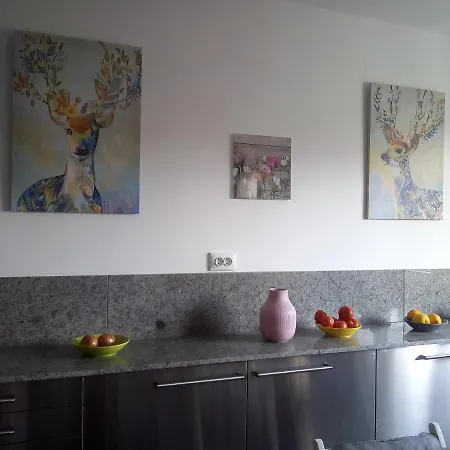 Vasile Lascar Dynamo Penthouse 1 Apartament *