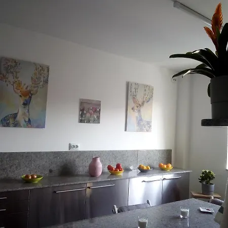 Apartament Vasile Lascar Dynamo Penthouse 1